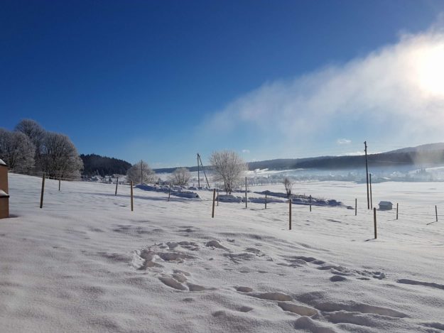 Environnement extérieur de mesure à proximité du site de la Brévine en janvier 2018