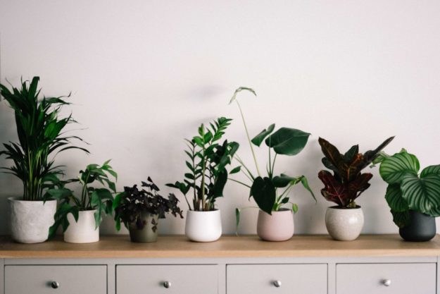 © Photo by Annie Spratt on Unsplash